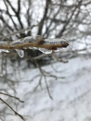 WhatsApp Image 2021-01-04 at 22.23.17 (6).webp