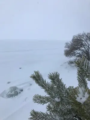 WhatsApp Image 2021-01-04 at 22.23.17 (7).webp