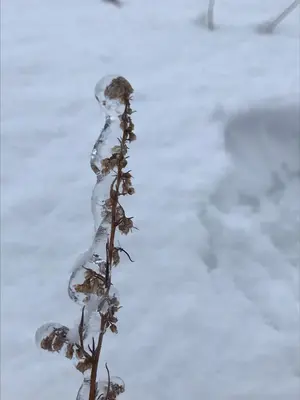 WhatsApp Image 2021-01-04 at 22.23.17 (8).webp