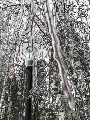 WhatsApp Image 2021-01-04 at 22.23.17 (9).webp