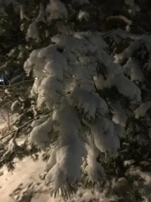 WhatsApp Image 2021-01-04 at 22.23.17 (10).webp