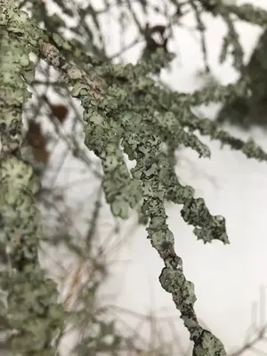 WhatsApp Image 2021-01-04 at 22.23.17.webp