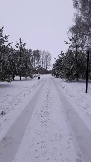 WhatsApp Image 2021-01-04 at 22.27.05.webp