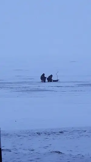 WhatsApp Image 2021-01-04 at 22.27.08.webp