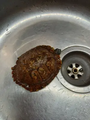 20220101_203414.webp