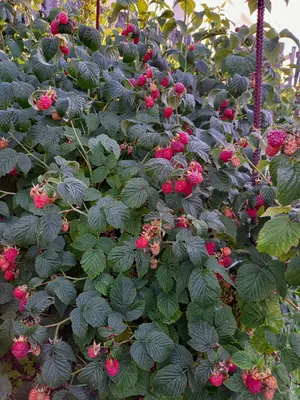 20220716_182208.webp