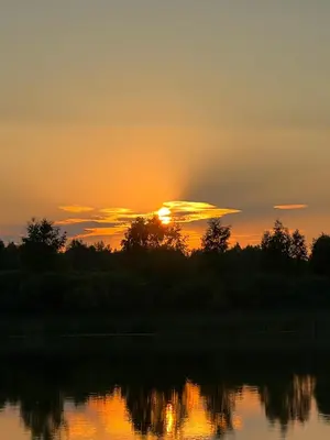 IMG-20220815-WA0016.webp
