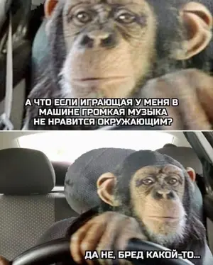 F339E463-1F9E-4209-B8A1-3015D14F886E.webp