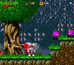 Mr._Nutz_SNES_ScreenShot2.jpg