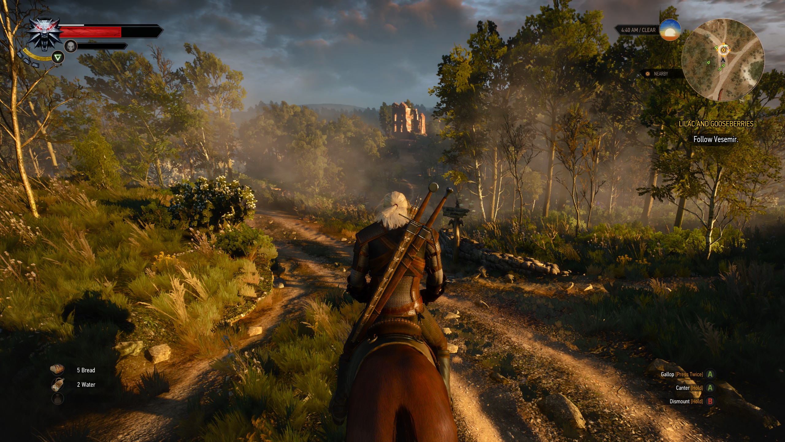 The Witcher 3: Wild Hunt | Next Stage